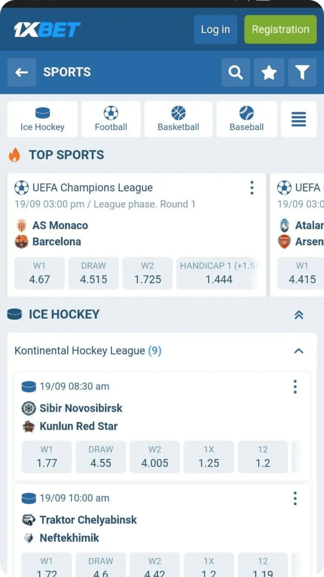 Mobile App Screenshot