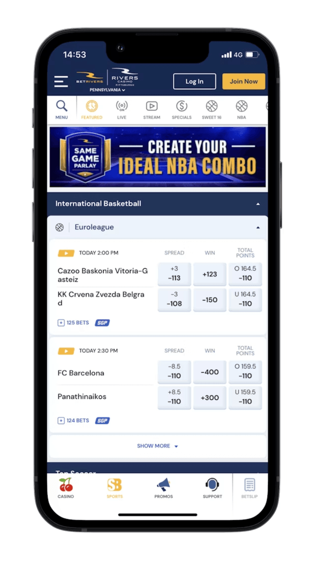 Mobile App Screenshot