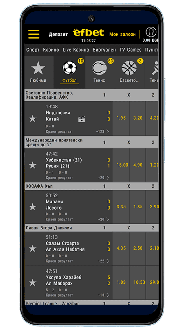 Mobile App Screenshot
