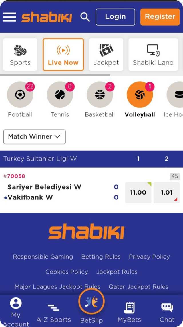 Mobile App Screenshot