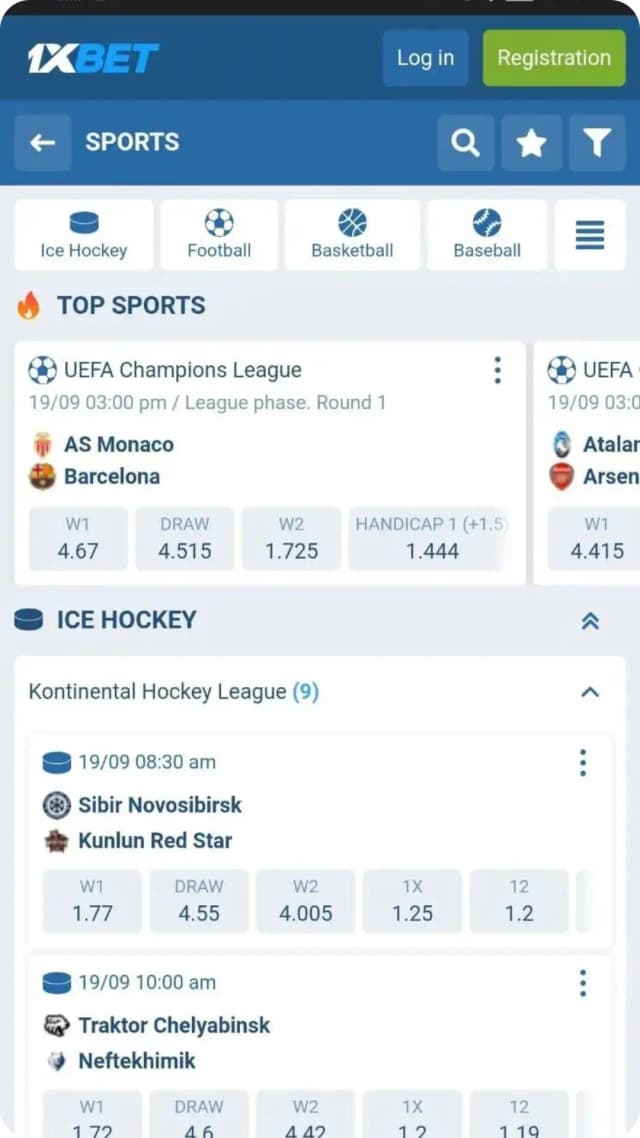 Mobile App Screenshot
