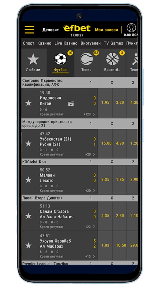 Mobile App Screenshot