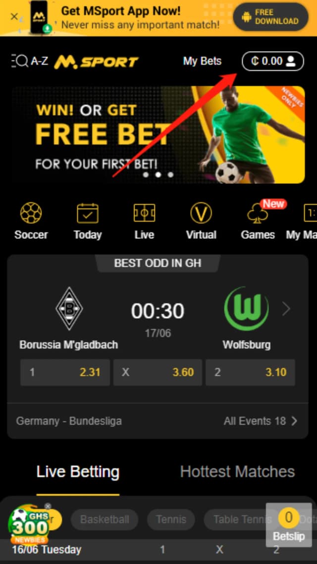 Mobile App Screenshot