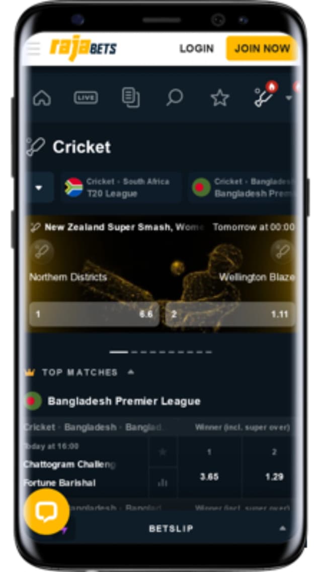 Mobile App Screenshot