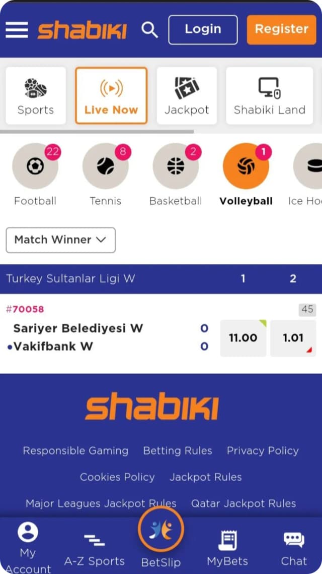 Mobile App Screenshot