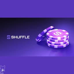 Shuffle Logo