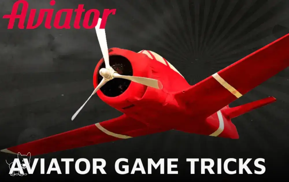 Mastering the Plane Bet Game for Beginners: Aviator by Spribe in Rwanda